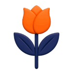 Florists & flowers